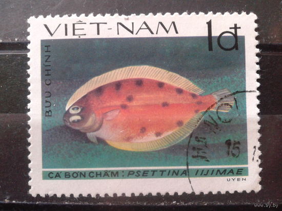 Вьетнам 1982 Камбала, концевая