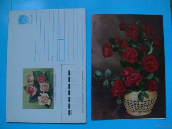 Комплект, Круцко Б., С днем рождения! 1989, чистый, открытка двойная.