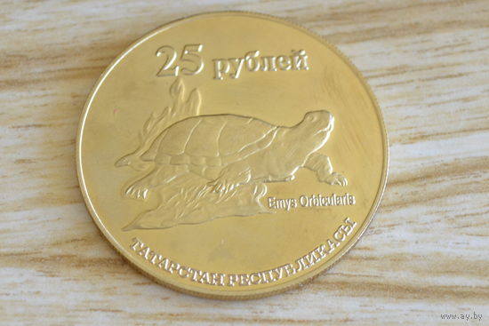 Татарстан 25 рублей 2013