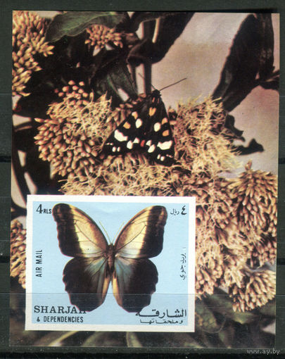 Шарджа - 1972г. - Бабочки - полная серия, MNH, есть небольшая вмятина [Mi bl. 118] - 1 блок