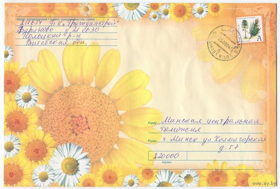 2004. Конверт, прошедший почту "Ромашки" (размер 216x141 мм)