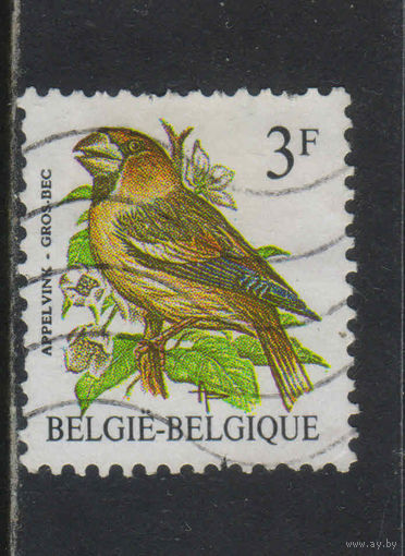 Бельгия Кор 1985 Птицы Дубонос обыкновенный Стандарт #2241