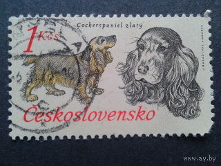 Чехословакия 1973 собака
