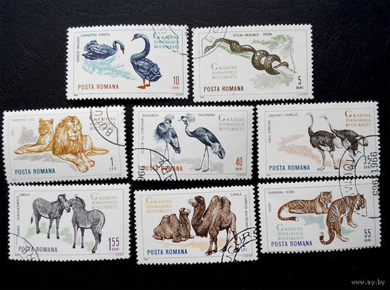 Румыния 1964 г. Зоопарк Бухареста. Фауна, полная серия из 8 марок#0113-Ф1