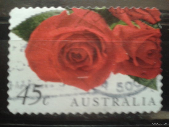 Австралия 1999 Валентинов день, розы