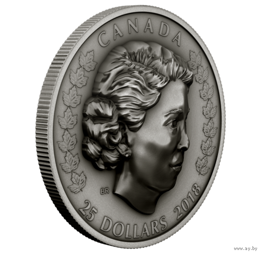 Канада 25 долларов 2018г. "Ее Величество Королева Елизавета II: Новая Королева". Монета в капсуле; подарочном футляре; номерной сертификат; коробка. СЕРЕБРО  34,10гр.