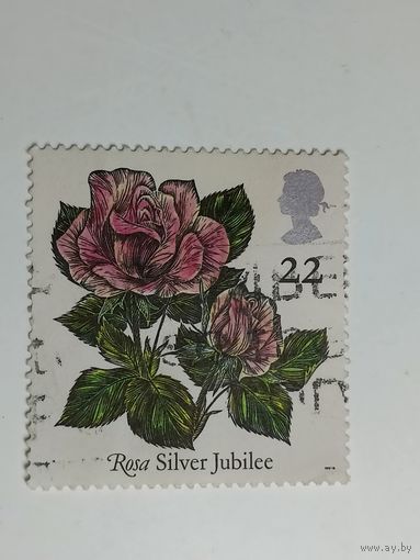 Великобритания 1991. Розы