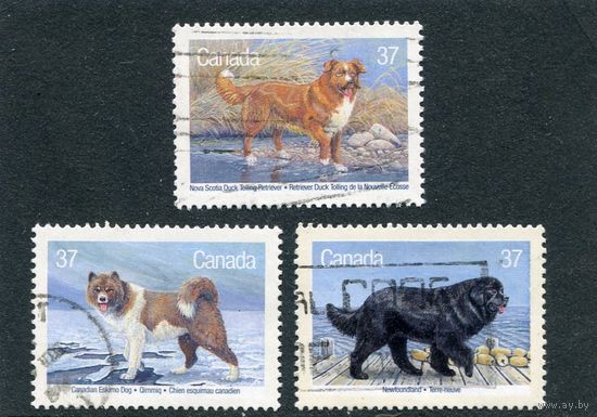 Канада. Породы собак
