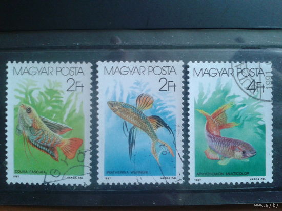 Венгрия 1987 аквариумные рыбки