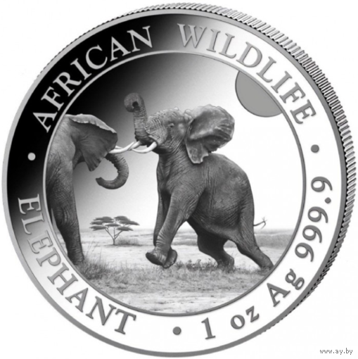 Сомали, 100 шиллингов, 2024г. "Слон" монета серебро