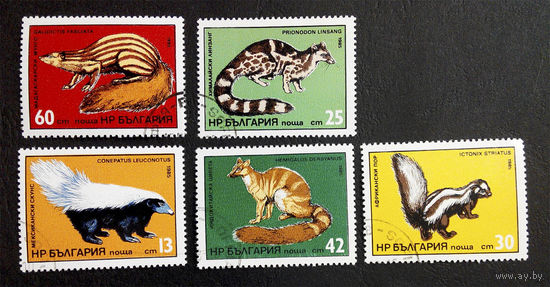 Болгария 1985 г. Экзотические хищные животные. Фауна, полная серия из 5 марок #0274-Ф1P60