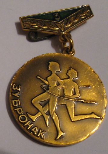 Медалька за 3 место в соревнованиях п/л Зубрёнок.