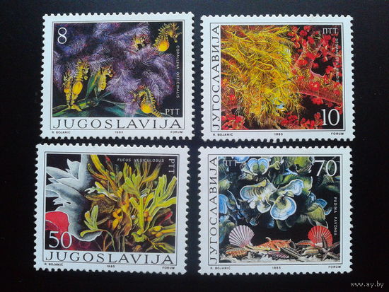 Югославия 1985 цветы полная серия
