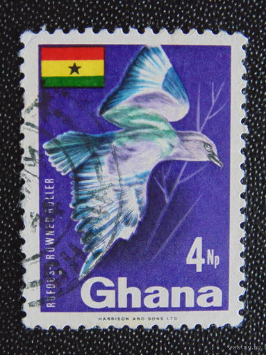 Гана. Птица.