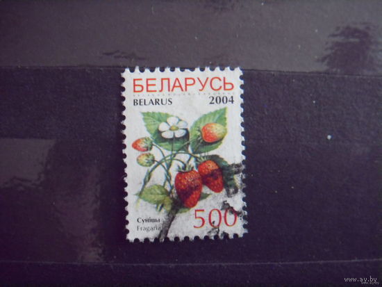 Беларусь гашеная, разновидность множественная печать УФ-защиты вся марка покрыта оттисками, флора (1-2)
