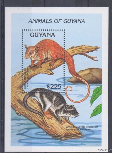 [201] Гайана 1992.Фауна.  БЛОК.