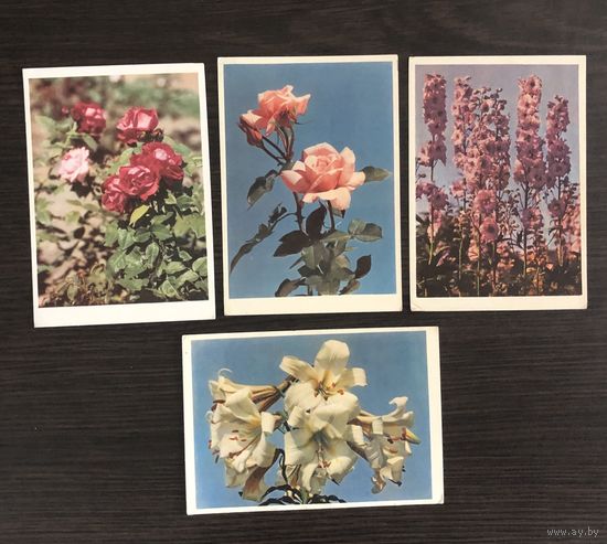 Открытки Цветы 1961,1962 год ИЗОГИЗ цена за все