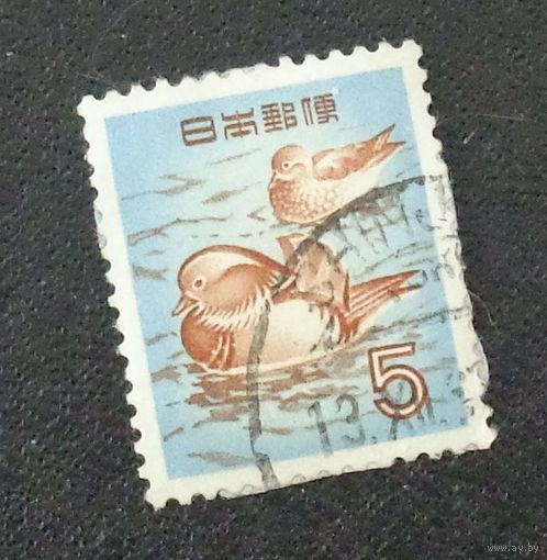 Мандариновая утка. Япония. Дата выпуска:1955-09-10
