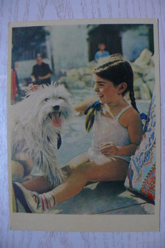Фото Становова А., Друзья (девочка и собака), 1962, чистая.