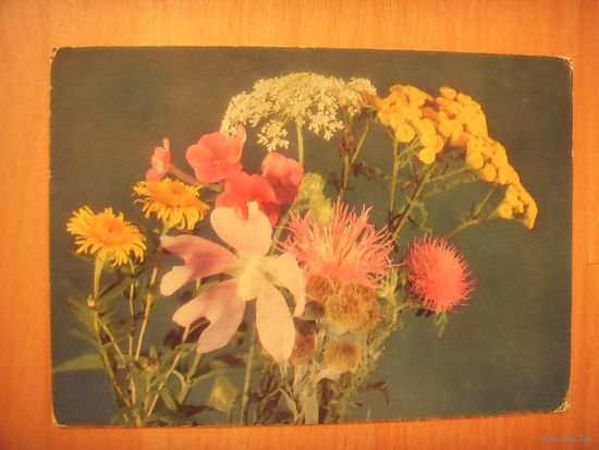 Редкая болгарская открытка экспорт в СССР чистая цветы