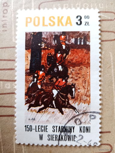 Польша. 150 летие starniny koni w Serakowie