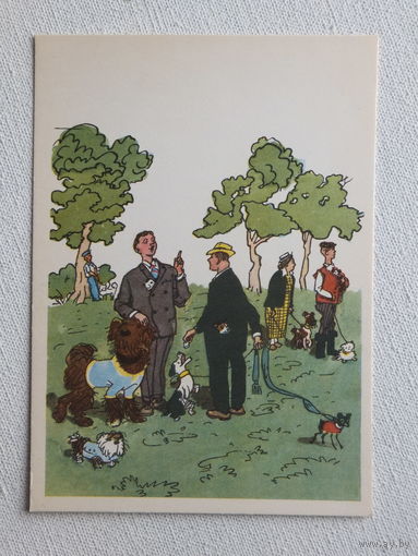 Каневский  открытка 1965  10х15 см