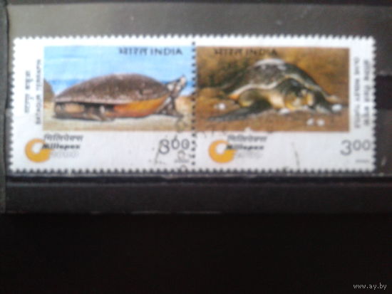 Индия  2000 Черепахи, вымирающие виды Сцепка Полная серия