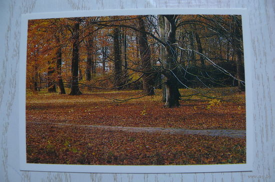 Календарик, 1988, Природа, осенний лес.