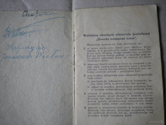 Паспорт на лошадь Польша 1934год