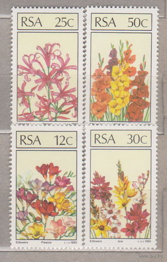 Цветы Флора Южная Африка ЮАР 1985 год лот 14 ЧИСТАЯ ПОЛНАЯ СЕРИЯ  по каталогу 2,13 у.е