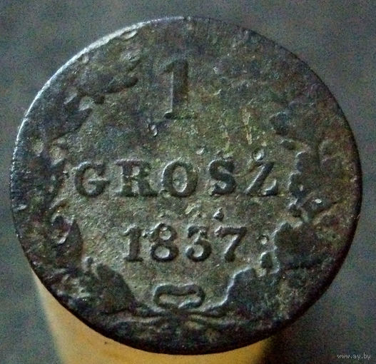 1 грош 1837 MW