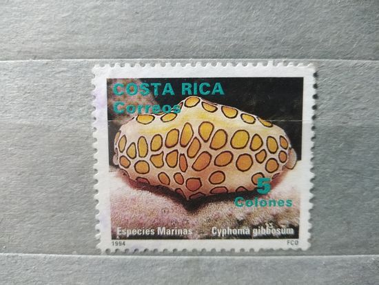 Коста-Рика.1996г. Фауна.