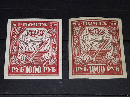 РСФСР 1921 Стандарт 1000 руб. на обычной и тонкой бумаге.  2 чистые марки одним лотом