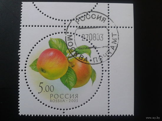 Россия 2003 яблоки