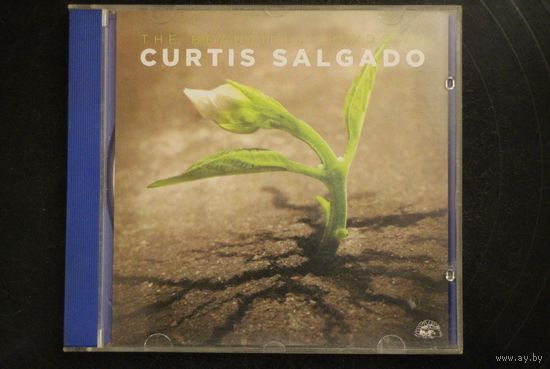 Curtis Salgado – The Beautiful Lowdown (2016, CD)