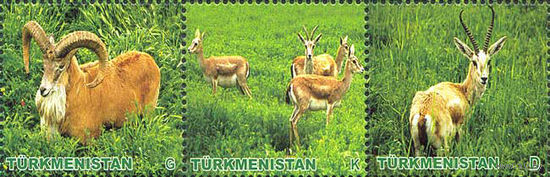 Животные Туркменистан 2009 год чистая серия из 3-х марок