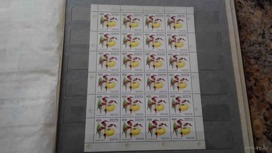 Венерин башмачок, флора, цветы, растения, марки, Беларусь, 2001, лист (блок)