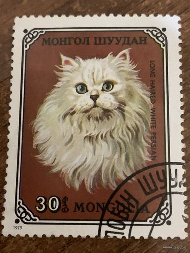 Монголия 1979. Домашние кошки. Long Haired white Persian. Марка из серии