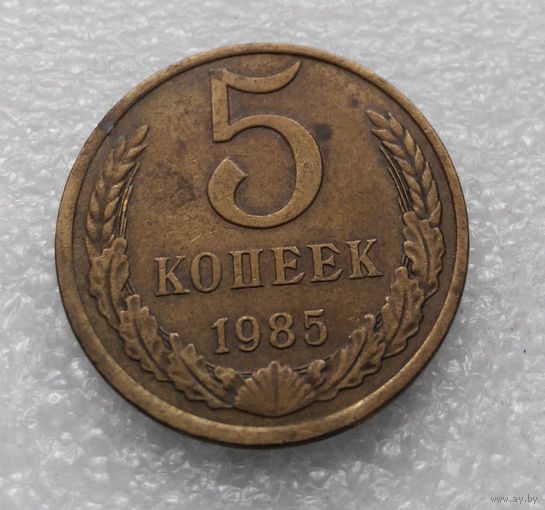5 копеек 1985 СССР #06