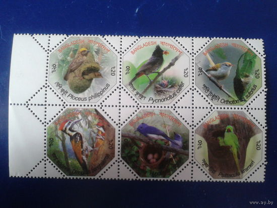 Бангладеш 2012 Птицы, сцепка 6 марок