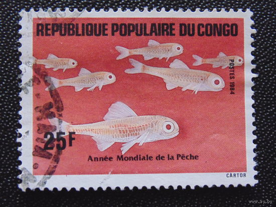 Конго 1984г. Рыбы.