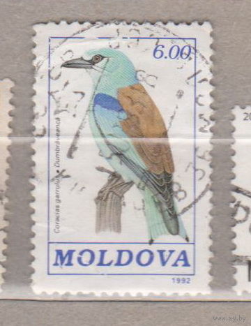 Птицы Фауна  Молдавия 1992 год лот 1077