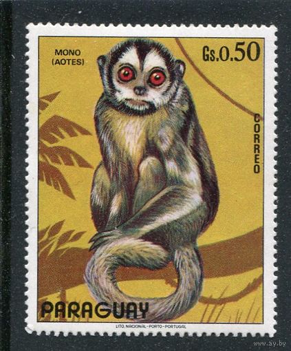 Парагвай. Фауна. Игрунка