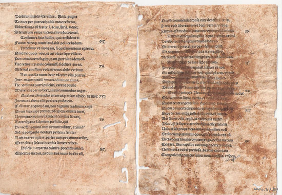 Два листа  с книги 16 века черпаная бумага подлинник!