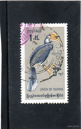Бирма.Ми-186. Индийская птица-носорог  .1964.