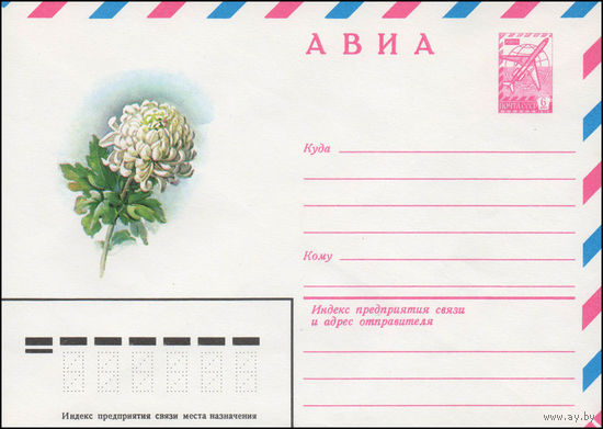 Художественный маркированный конверт СССР N 14433 (01.07.1980) АВИА  [Рисунок белой хризантемы]