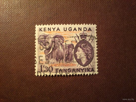 Британская колония Кения , Уганда, Танганьика 1954 г.Елизавета II и слоны.Номинал 1 шиллинг 30 центов./17а/