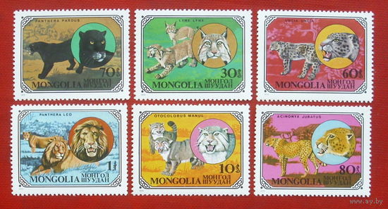 Монголия. Дикие кошки. ( 6 марок ) 1979 года. 10-8.