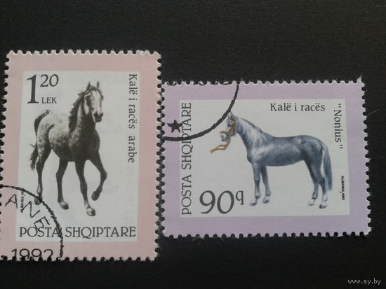 Албания 1992 лошади