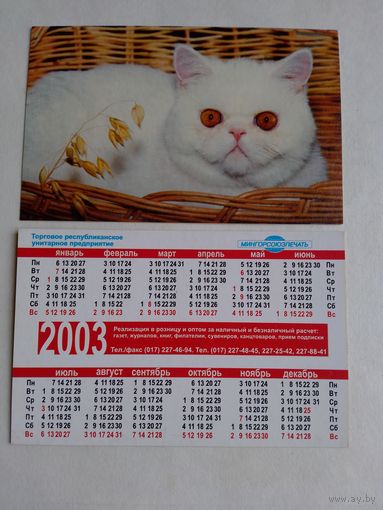 Карманный календарик 2003 год. Котик